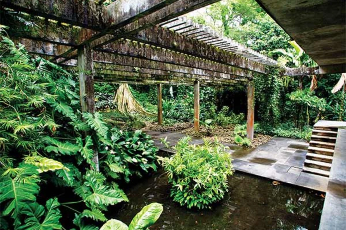Uma conversa entre Burle Marx, Clarice Lispector, Deus e a tristeza