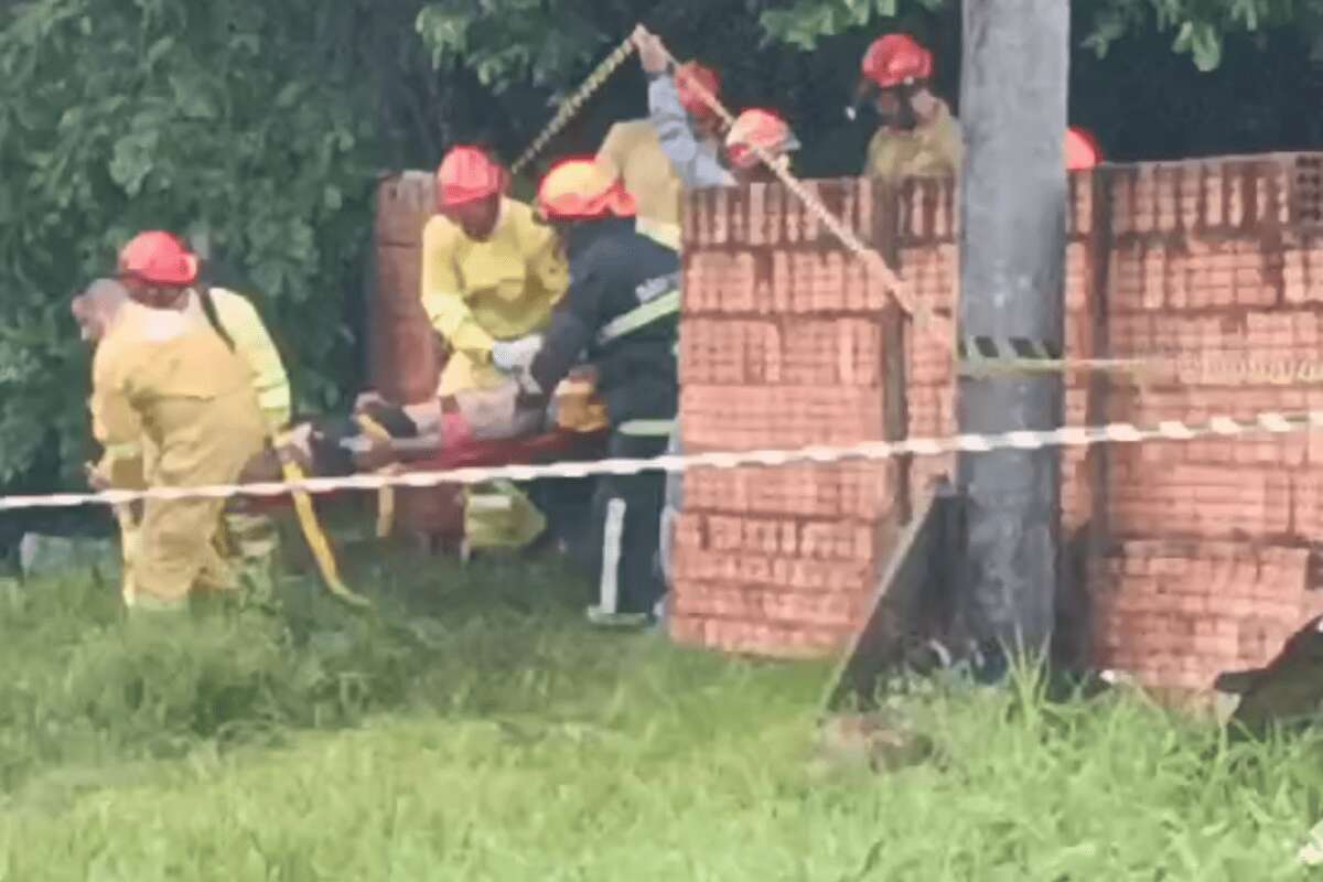 Jovem morre após árvore desabar sobre casa durante chuva em SP. Vídeo