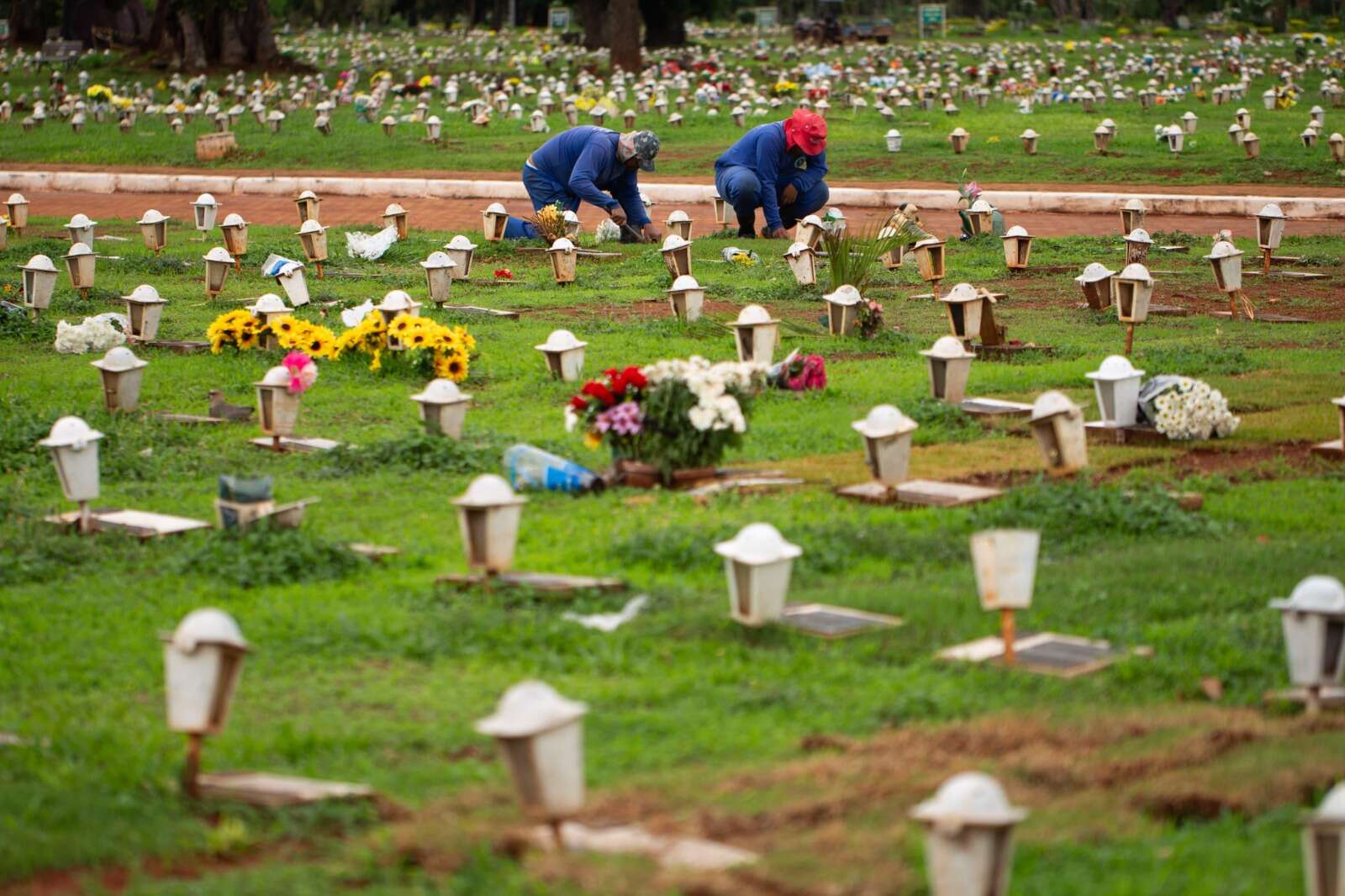 A polêmica decisão que veta trabalho de 365 jardineiros em cemitérios