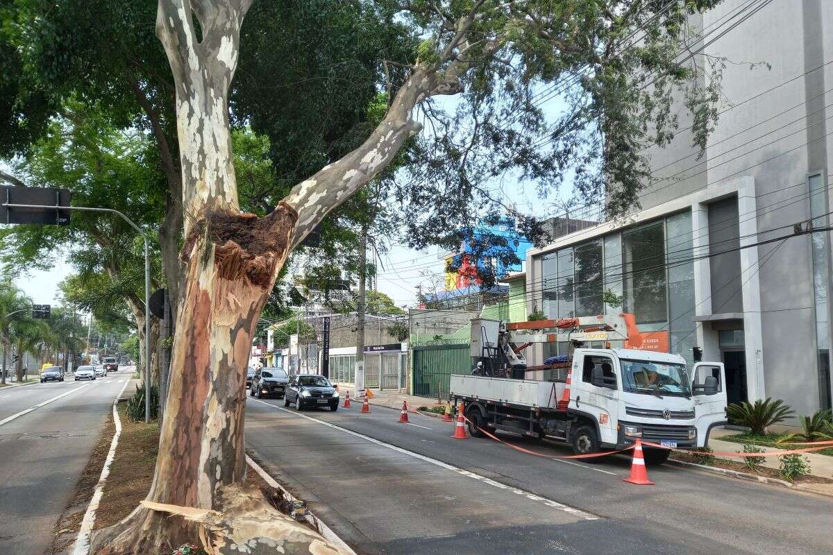 Apagão: técnicos da Enel trocam poste já prevendo nova queda de árvore