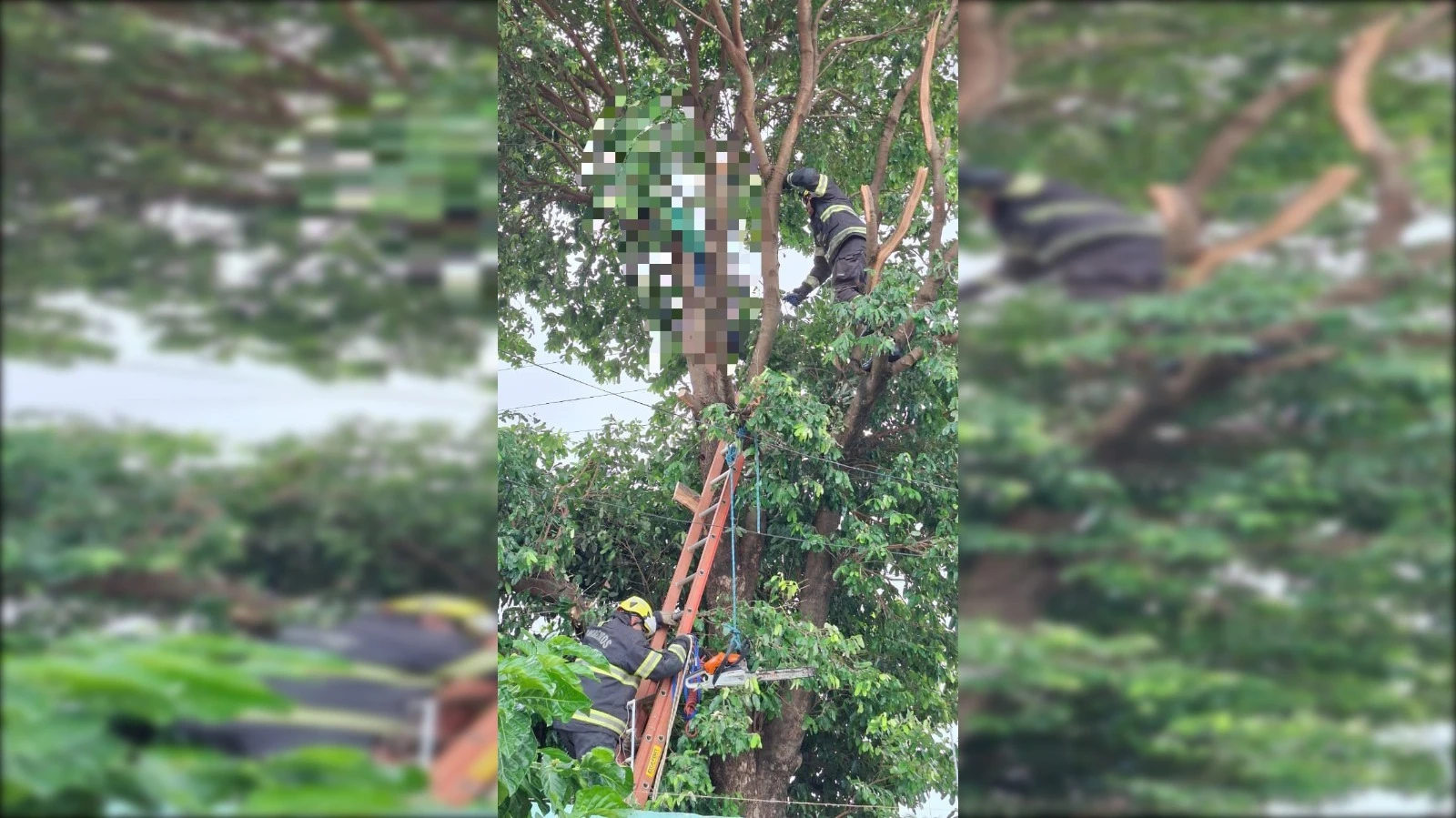 Homem morre eletrocutado enquanto podava árvore, em Caldas Novas