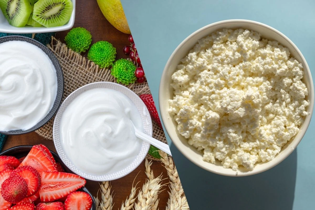 Iogurte grego x queijo cottage: qual é mais rico em proteína?