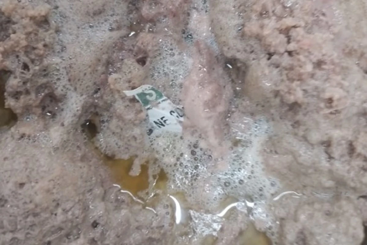 Após flagrante de plástico em carne, TCDF investiga merenda escolar