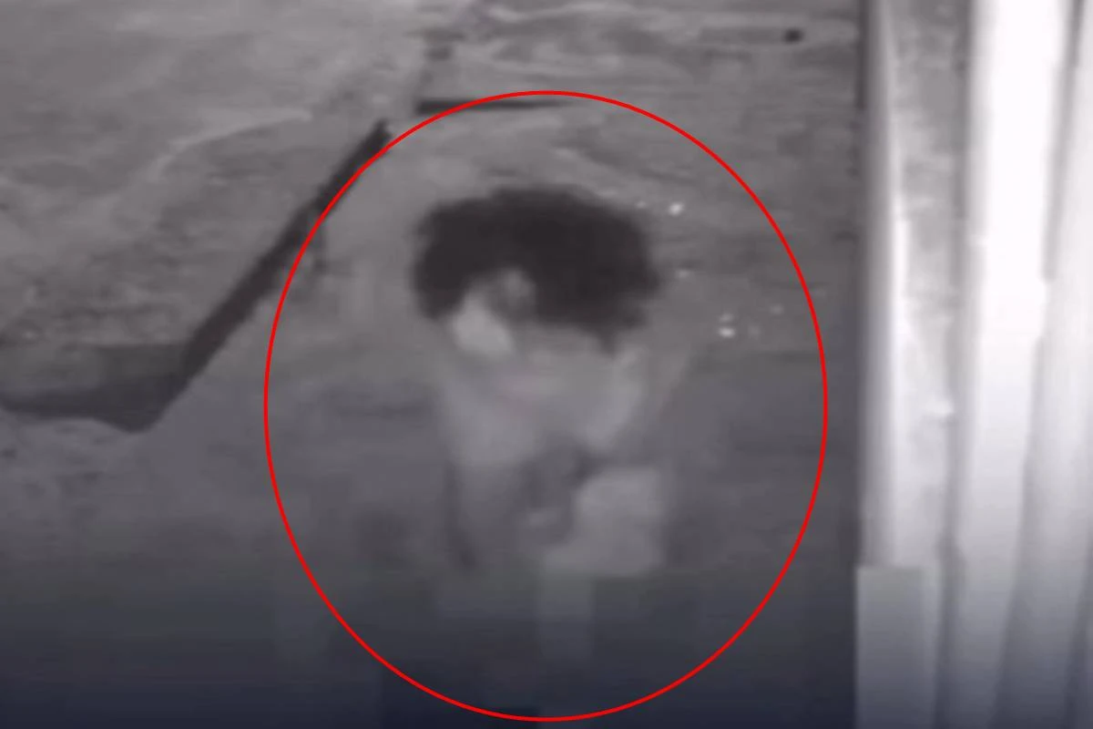 Mulher mata irmão com 14 golpes de faca após briga familiar; vídeo