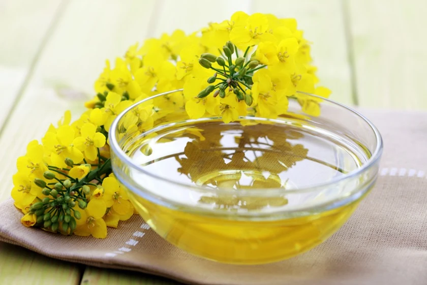 Conheça o óleo vegetal saudável e barato que pode substituir o azeite