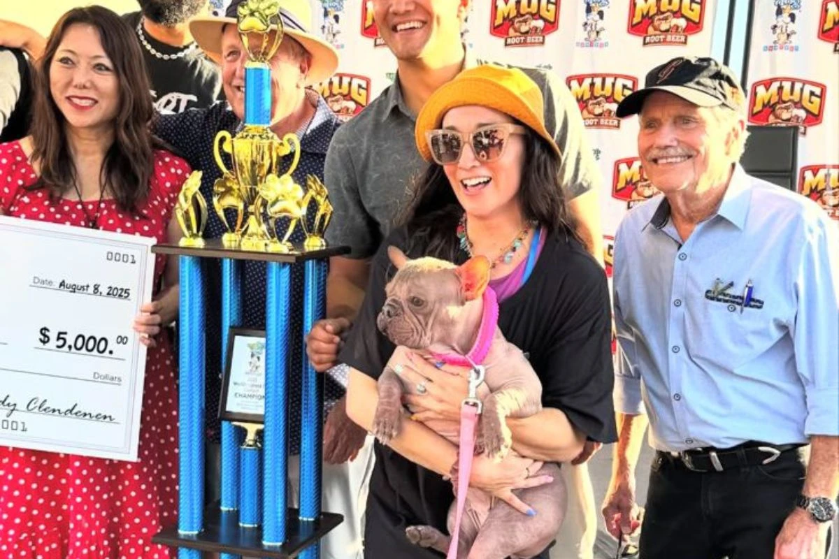 Conheça Petunia, buldogue eleita “cão mais feio do mundo” em concurso