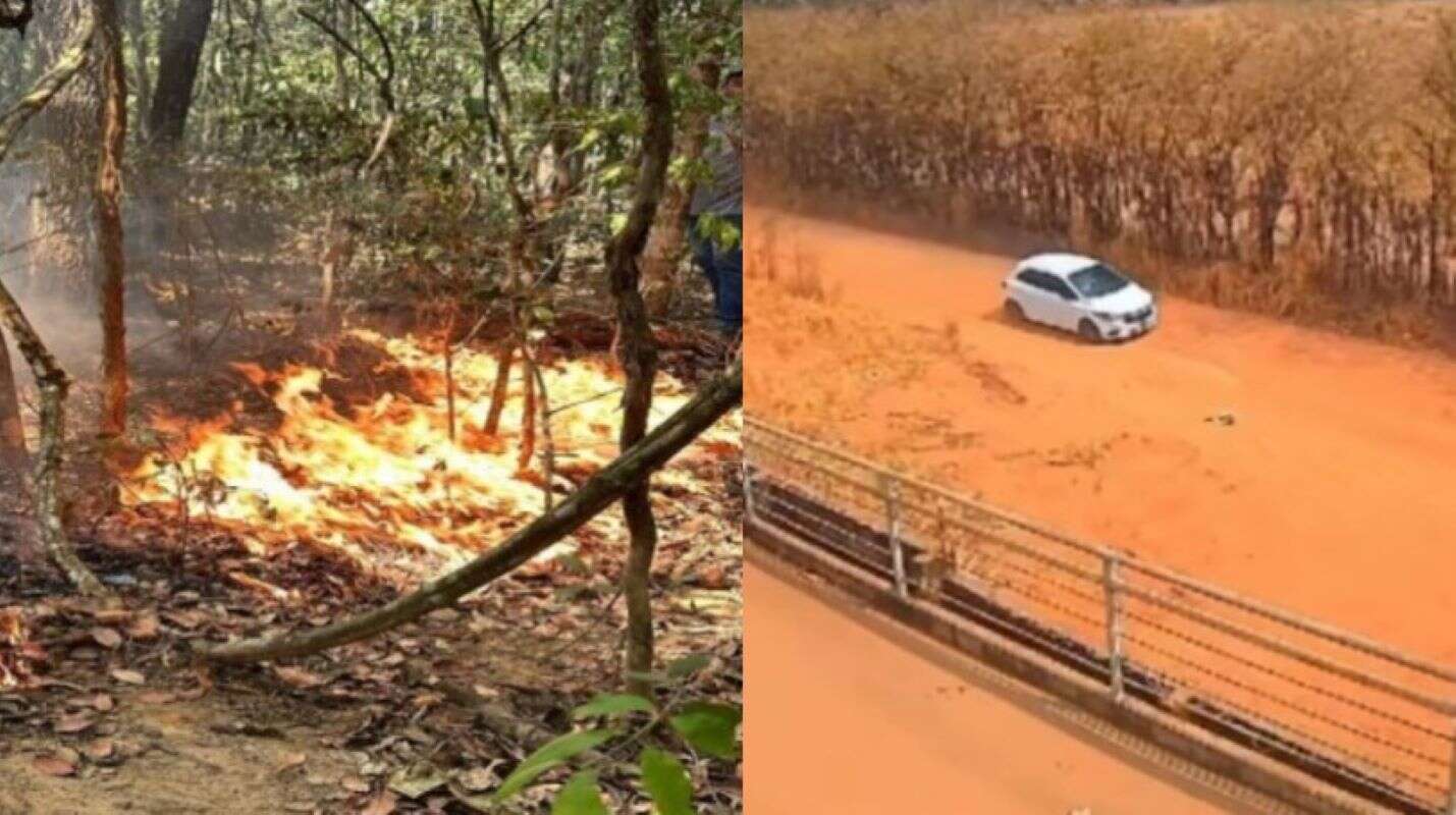 Homem que incendiou fazenda é solto pela Justiça sem pagar fiança