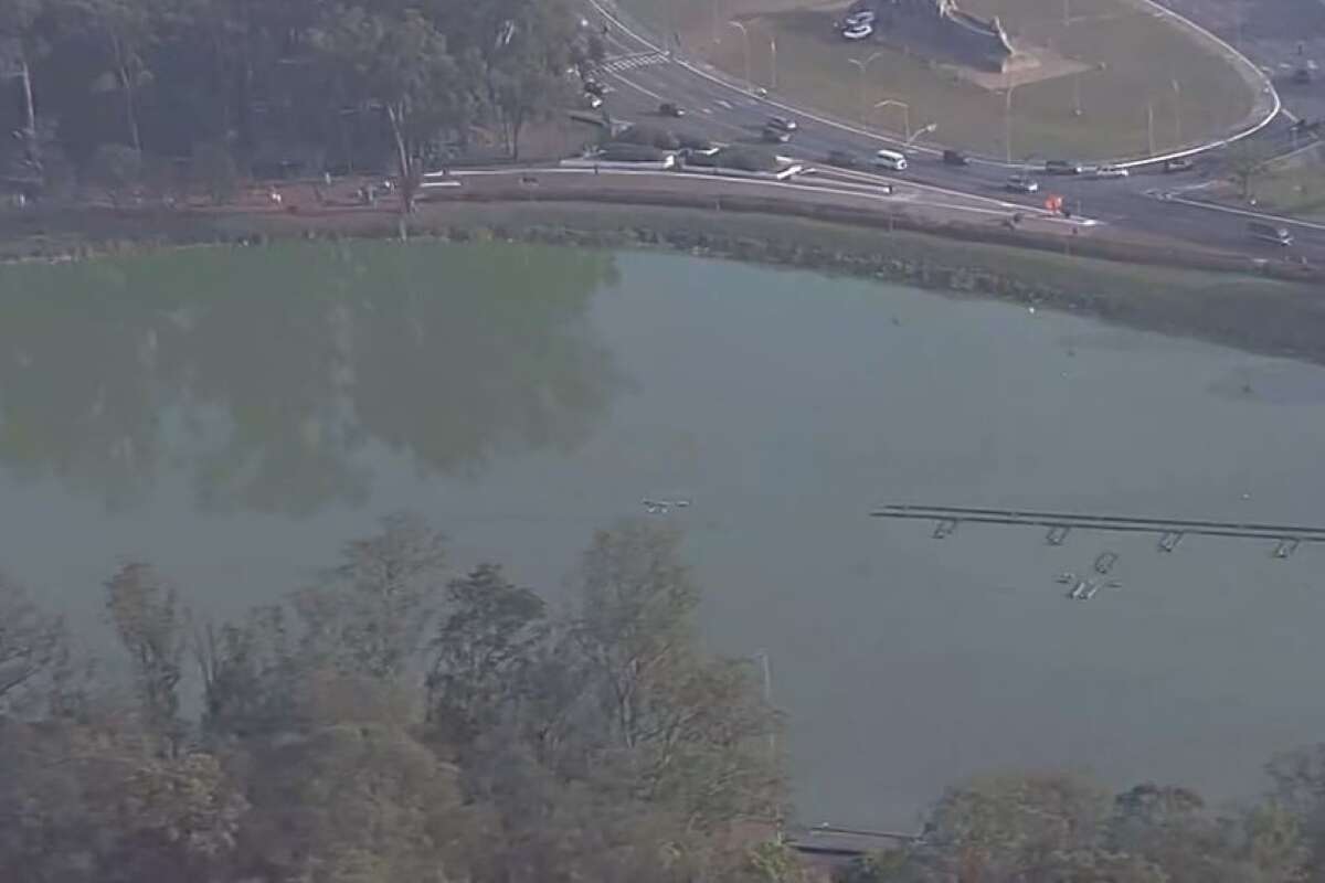 Concentração de algas faz lago do Parque Ibirapuera amanhecer verde