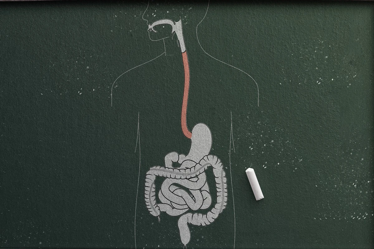 Saúde e digestão: saiba como prevenir as doenças do sistema digestivo