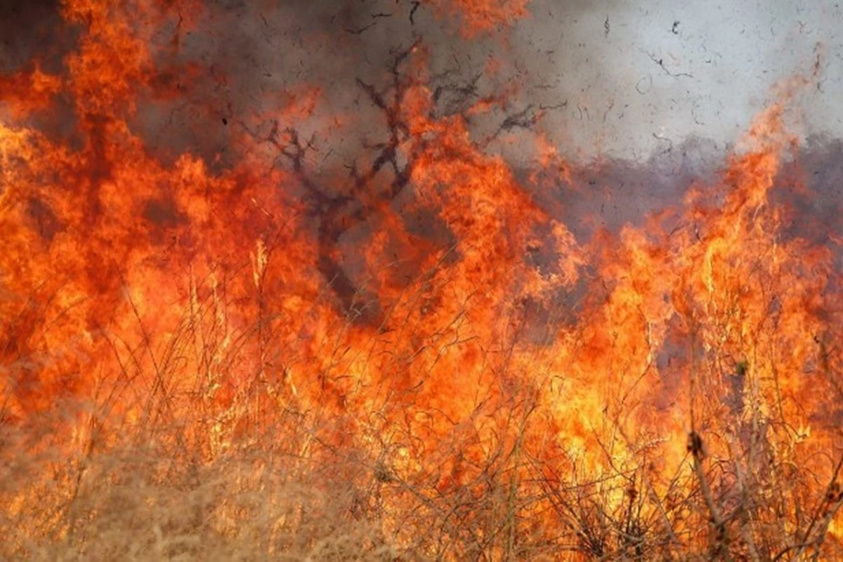 Incêndio de grandes proporções castiga Pirenópolis e fecha cachoeira