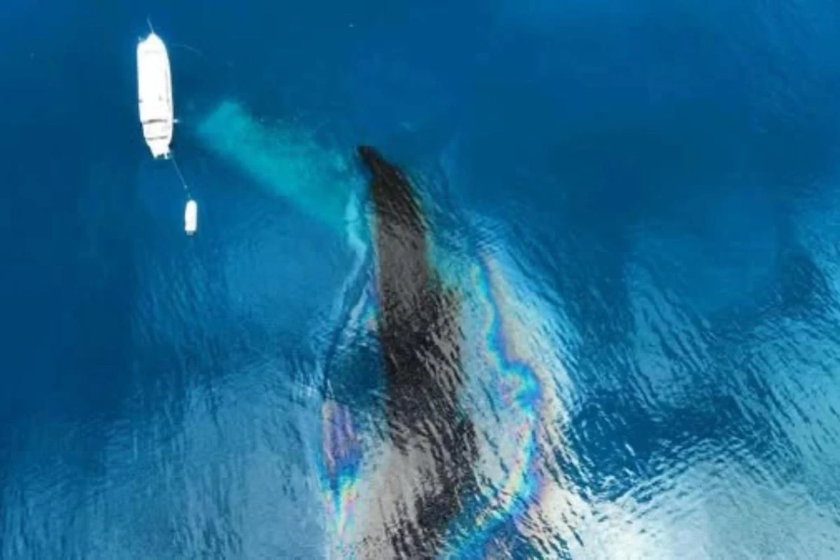 Vazamento de óleo de navio da 2ª Guerra ameaça ilhas da Micronésia