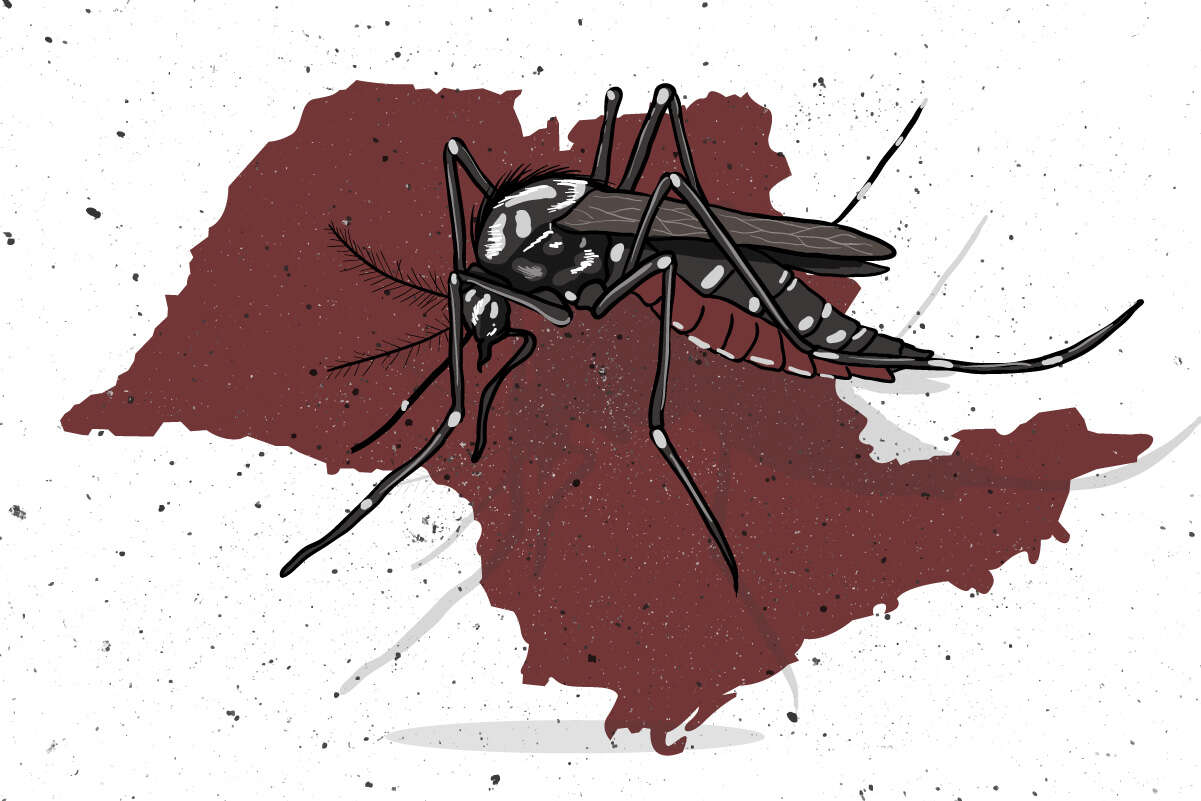 Dengue em SP: especialista alerta para risco de casos graves em 2025