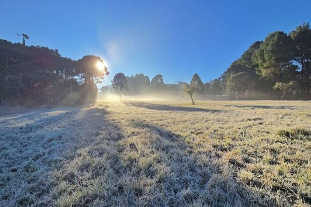 SC tem geada, e cidade mais fria do Brasil registra quase 0°C