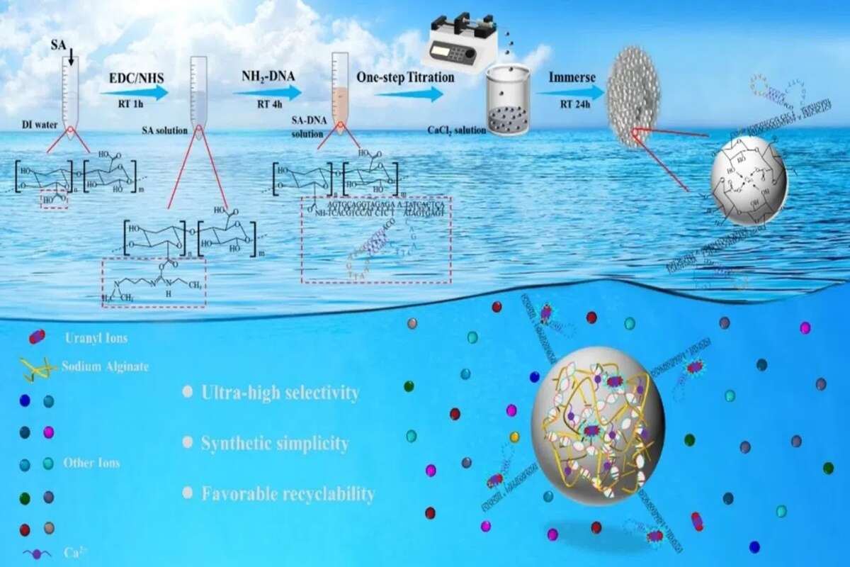 Cientistas chineses criam tecnologia para extrair urânio do mar