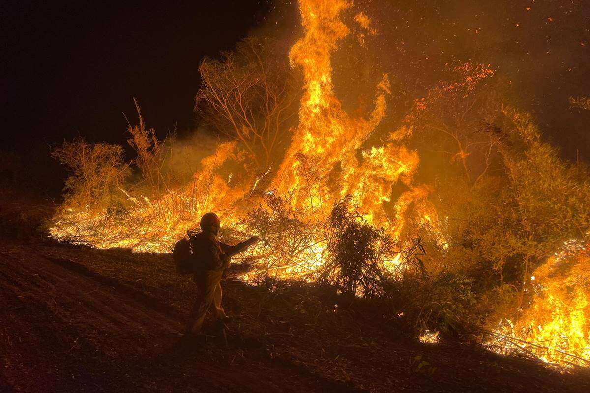 Dino chama União e estados para discutir plano contra incêndios