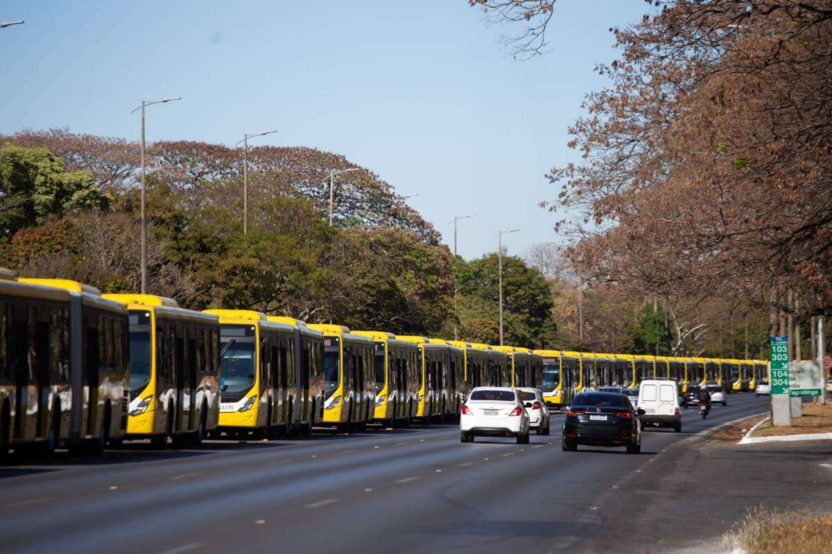 Mais 203 linhas de ônibus deixam de aceitar dinheiro a partir desta 5ª