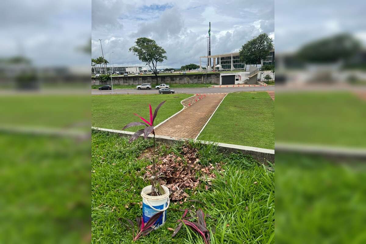 Fotos: homem-bomba escondeu artefatos em jardim da Praça dos 3 Poderes