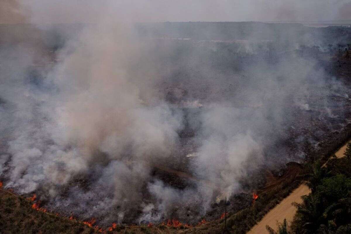 Com chance de “chuva preta”, SP registra 11 focos ativos de incêndio