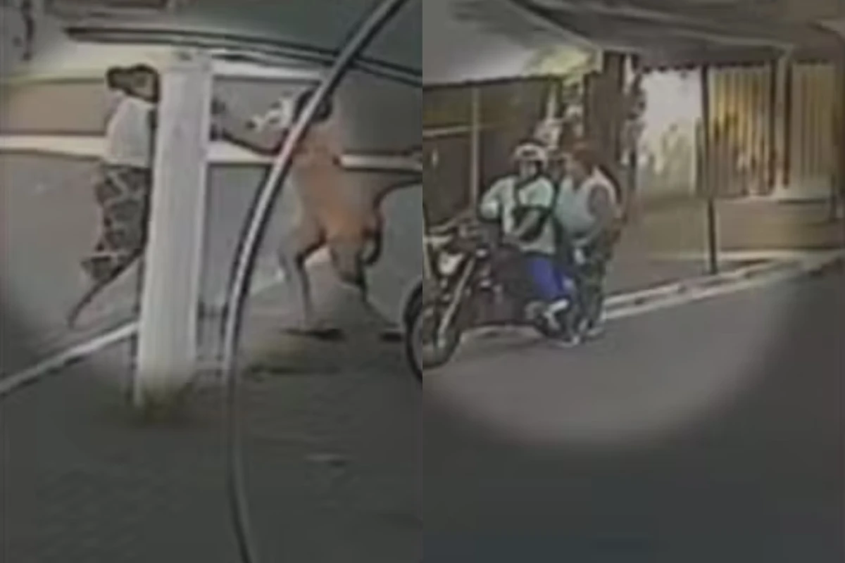 Mulher que matou outra durante briga por ciúmes é presa no Rio. Vídeo