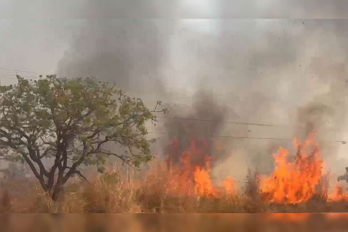 Vídeo acelerado mostra fogo devastando a Floresta Nacional de Brasília