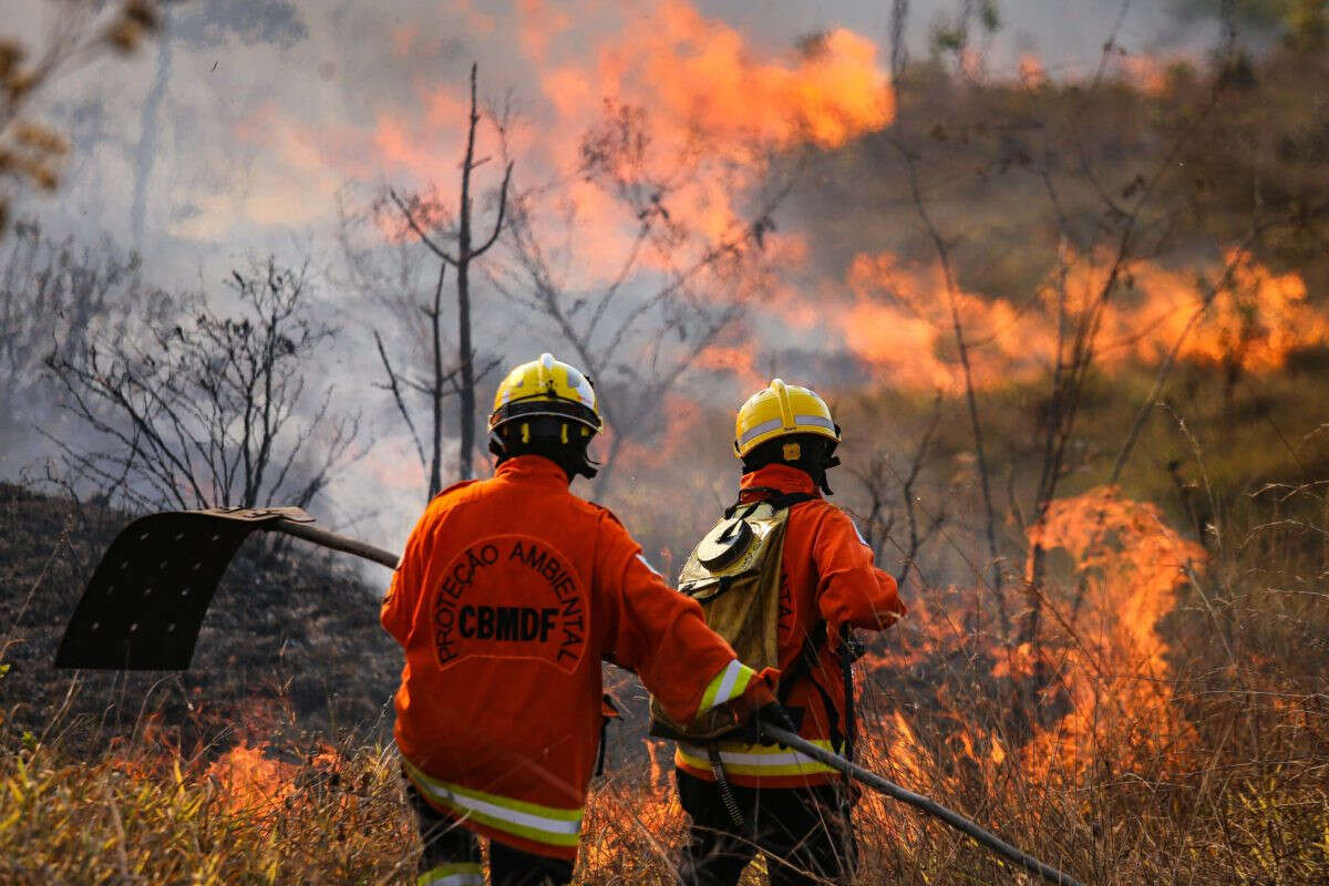 Com redução de interstício, 674 bombeiros do DF serão promovidos