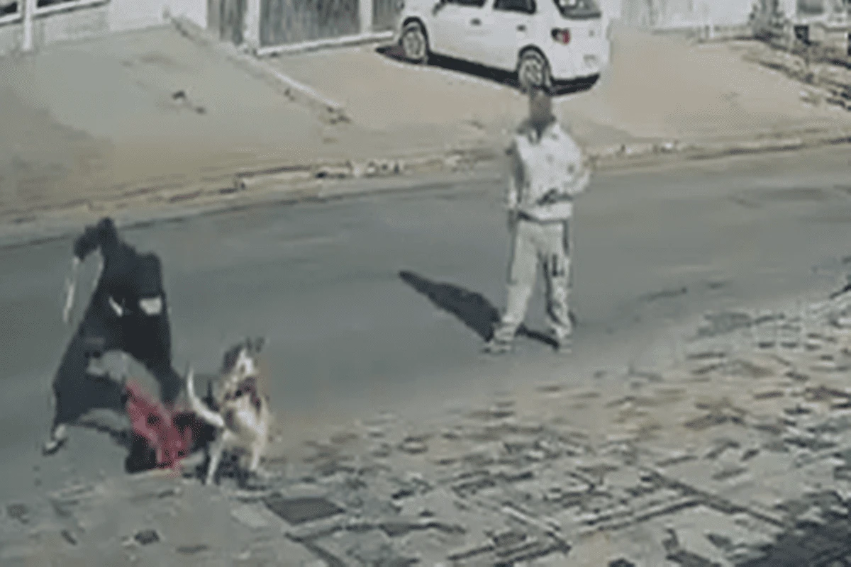 Tentativa de homicídio: jovem é atacado a facadas em rua do DF. Vídeo