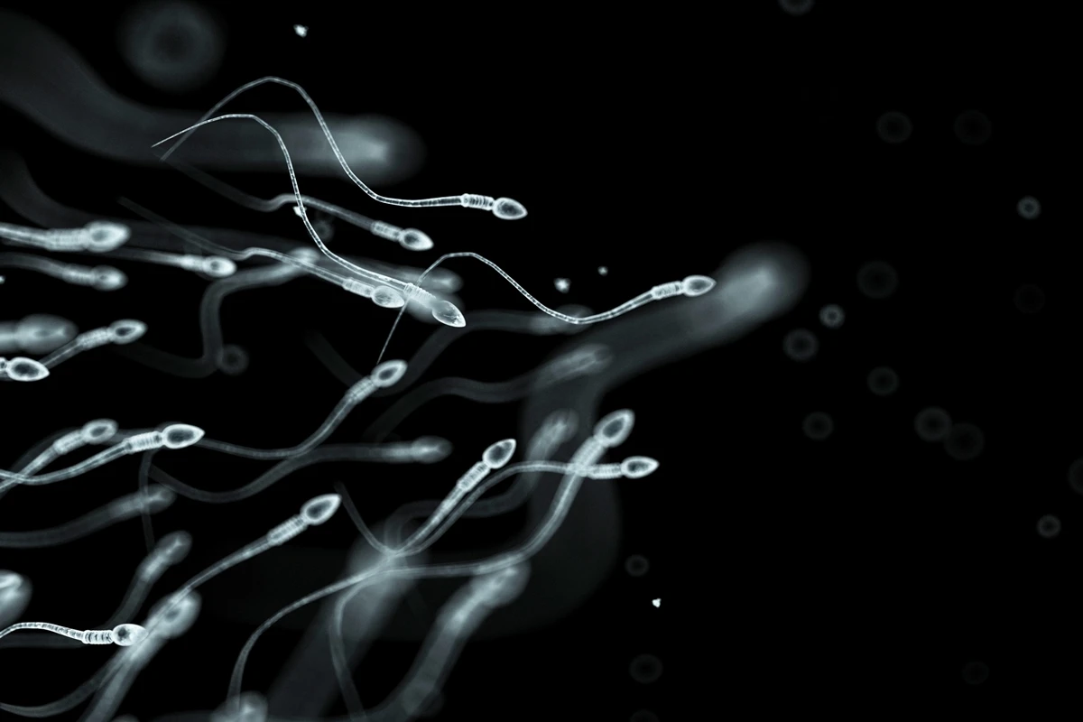 Cientistas começam a testar anticoncepcional masculino em humanos