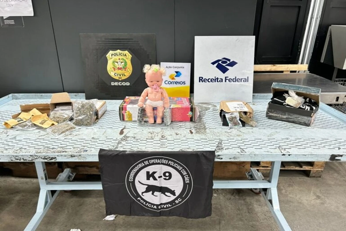 Polícia apreende “bebê do tráfico” recheada de haxixe