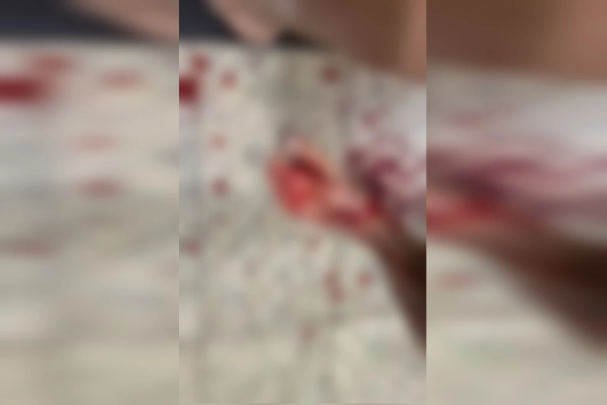 Filho, de 21 anos, confessa assassinato da própria mãe. Motivo choca
