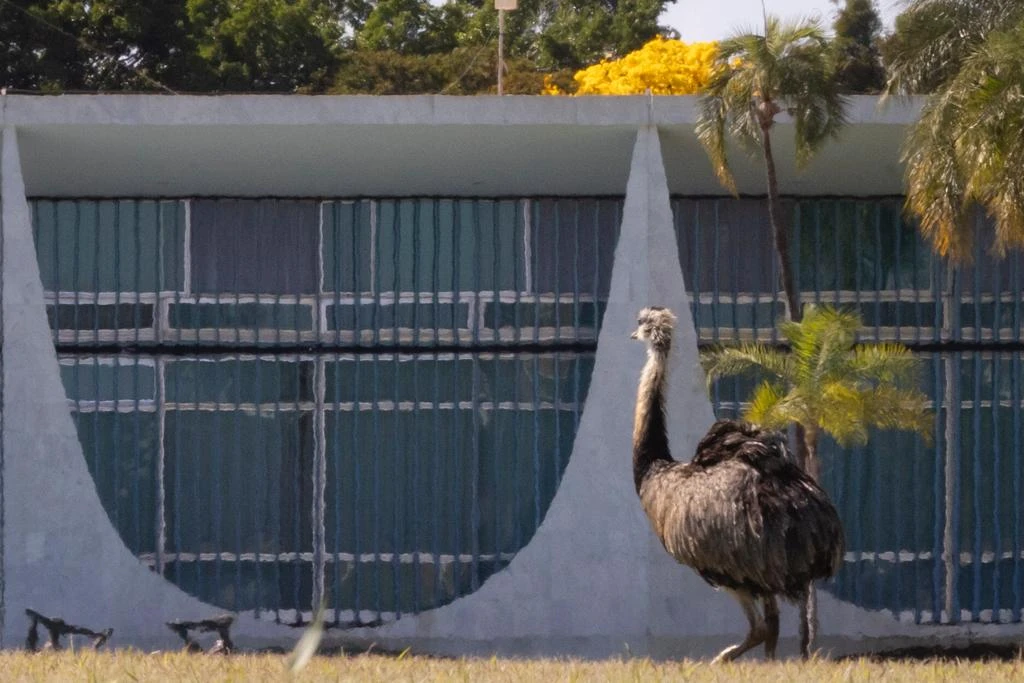 Governos desorganizados (por André Gustavo Stumpf)