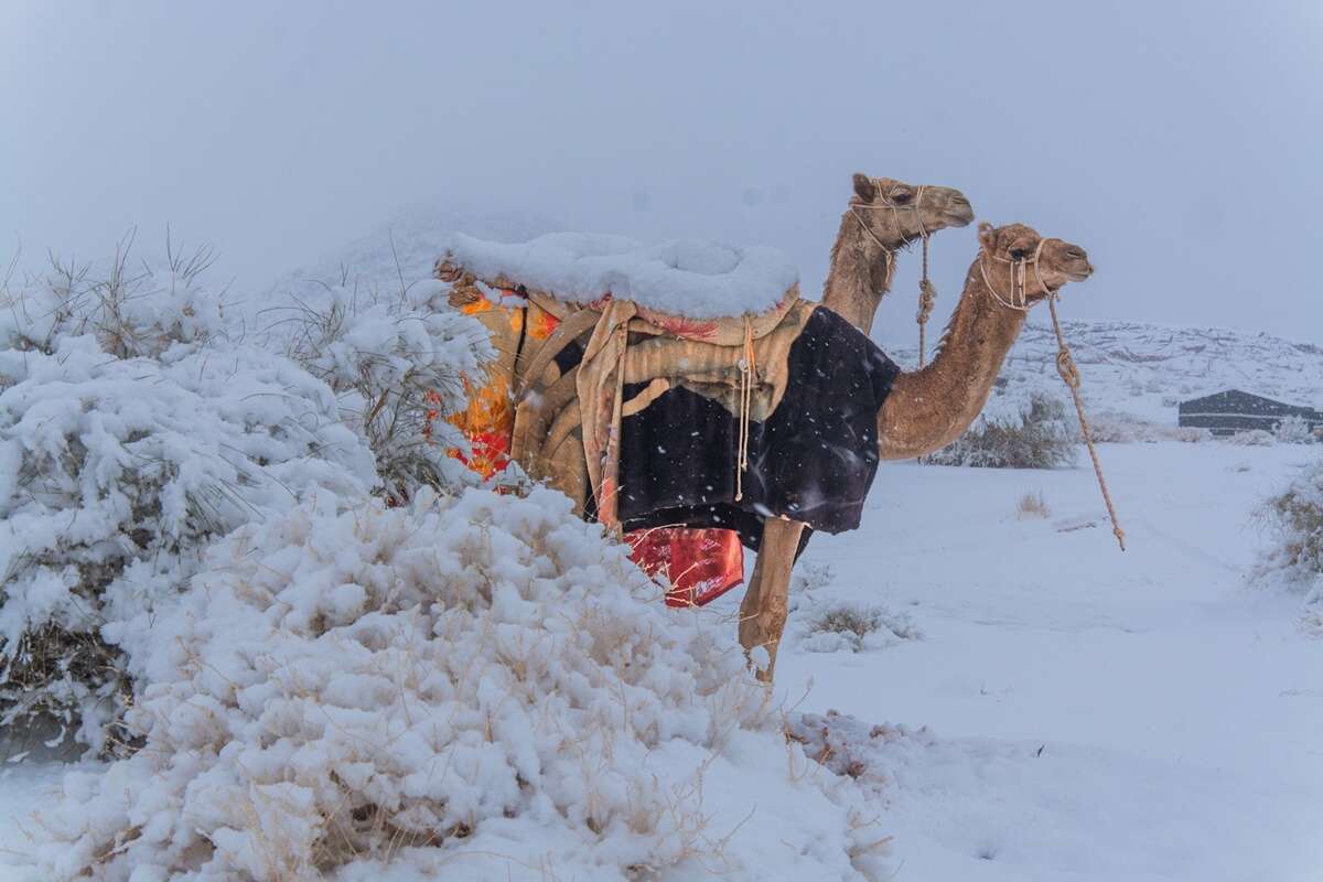 Vídeo: neve cobre deserto saudita pela 1ª vez na história