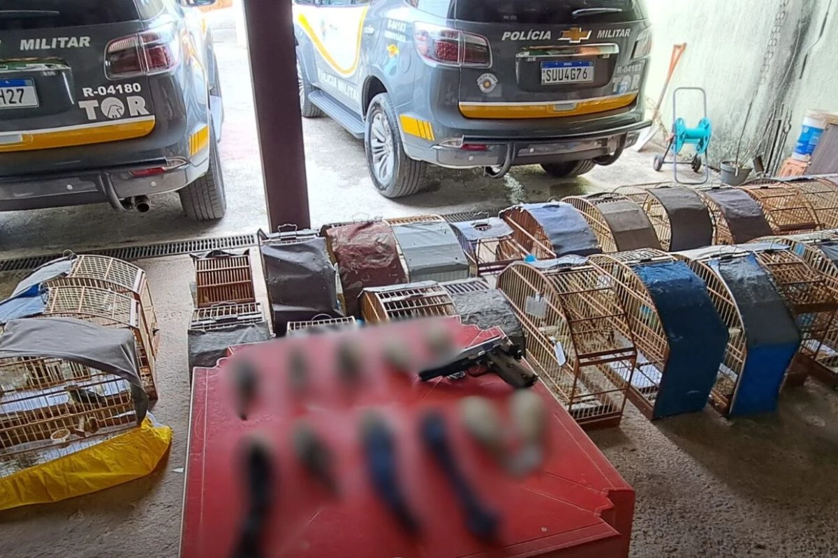 Presa dupla que traficava aves silvestres avaliadas em R$ 280 mil