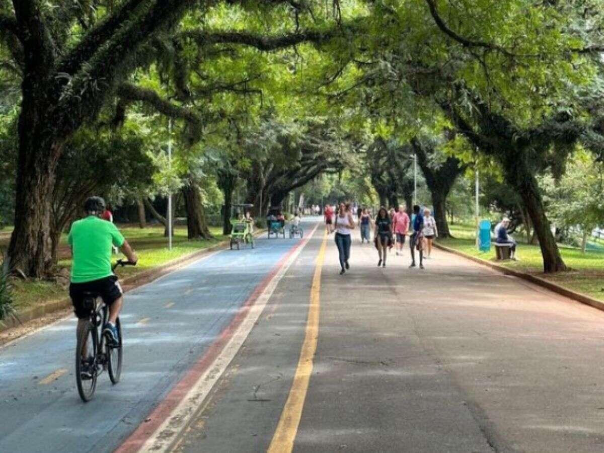 Parque Ibirapuera começa a cobrar taxa de assessorias esportivas