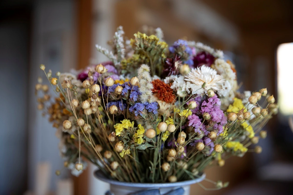Flores secas são eternas? Especialistas ensinam como cuidar de plantas