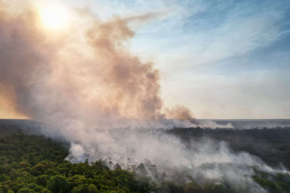 Exército vai atuar contra fogo que destrói Parque Nacional de Brasília