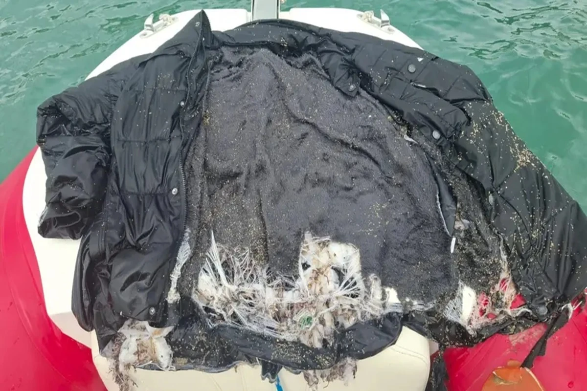 Corpo de homem é achado em Santa Catarina 4 dias após morte do irmão