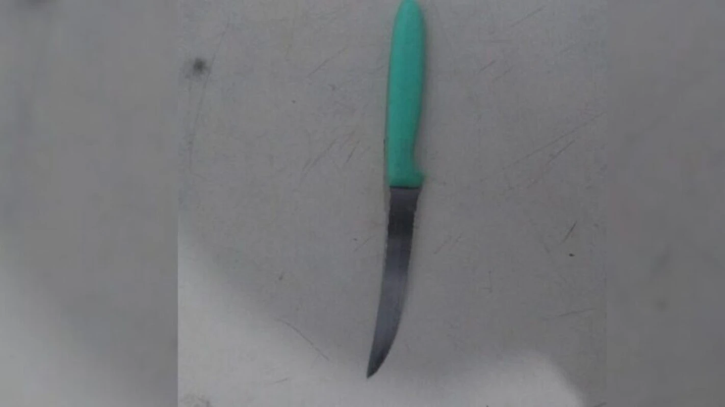 Filho ameaça matar a própria mãe idosa com faca e acaba preso em SC