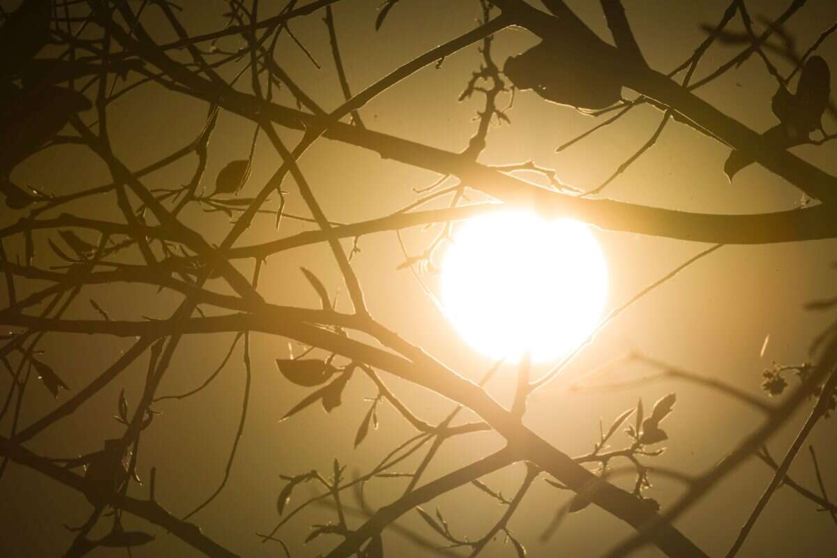 Há 153 dias sem chuvas, DF bate novo recorde de calor e chega a 35,4°C