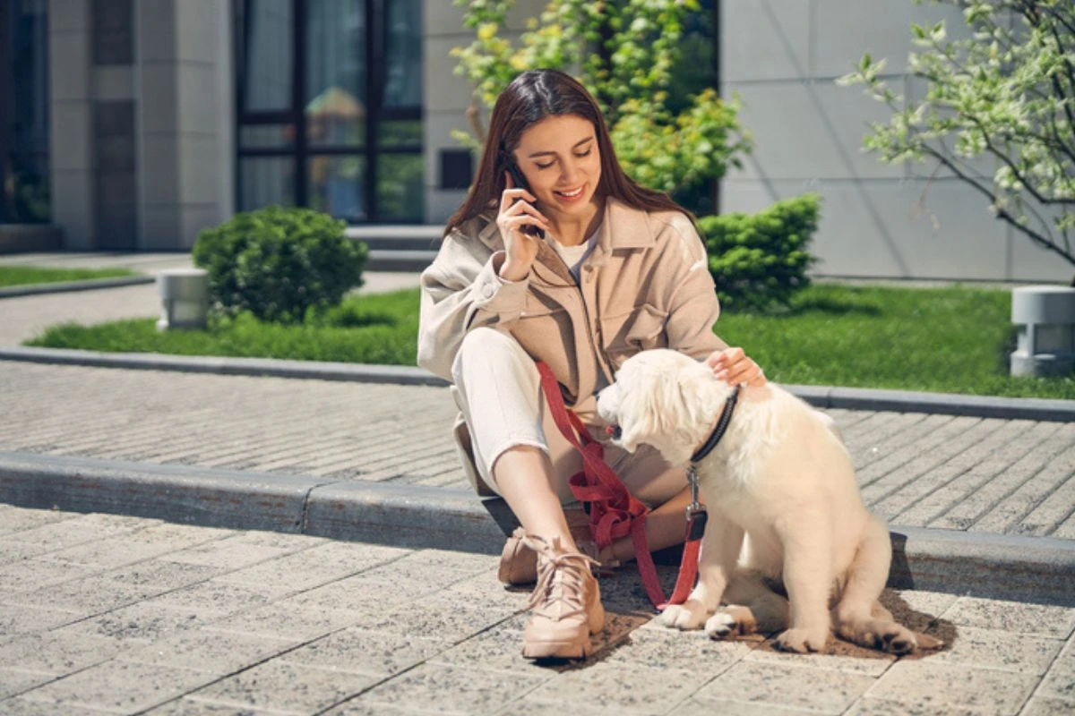Veja 6 raças de cães sociáveis e ideais para quem mora em condomínio