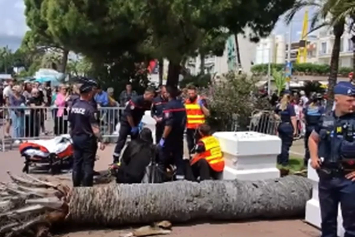 Palmeira cai em cima de produtor japonês em pleno Festival de Cannes