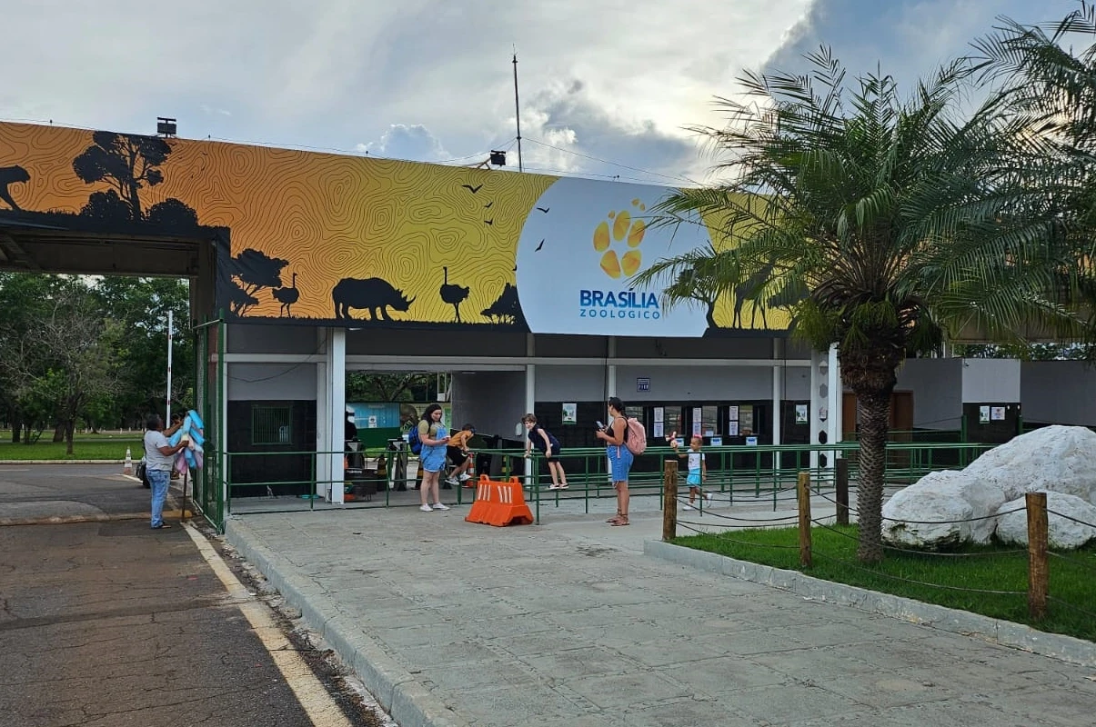 Gripe aviária: animais achados mortos no zoológico eram de vida livre
