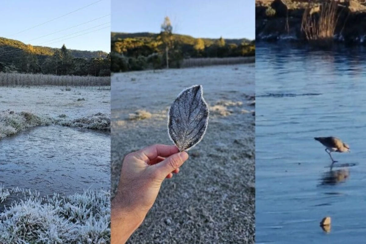 Imagens encantadoras mostram a beleza de SC em dia de frio intenso