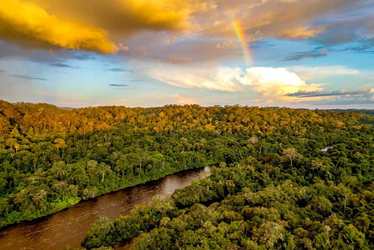Pará registra menor área sob alerta de desmatamento desde 2019