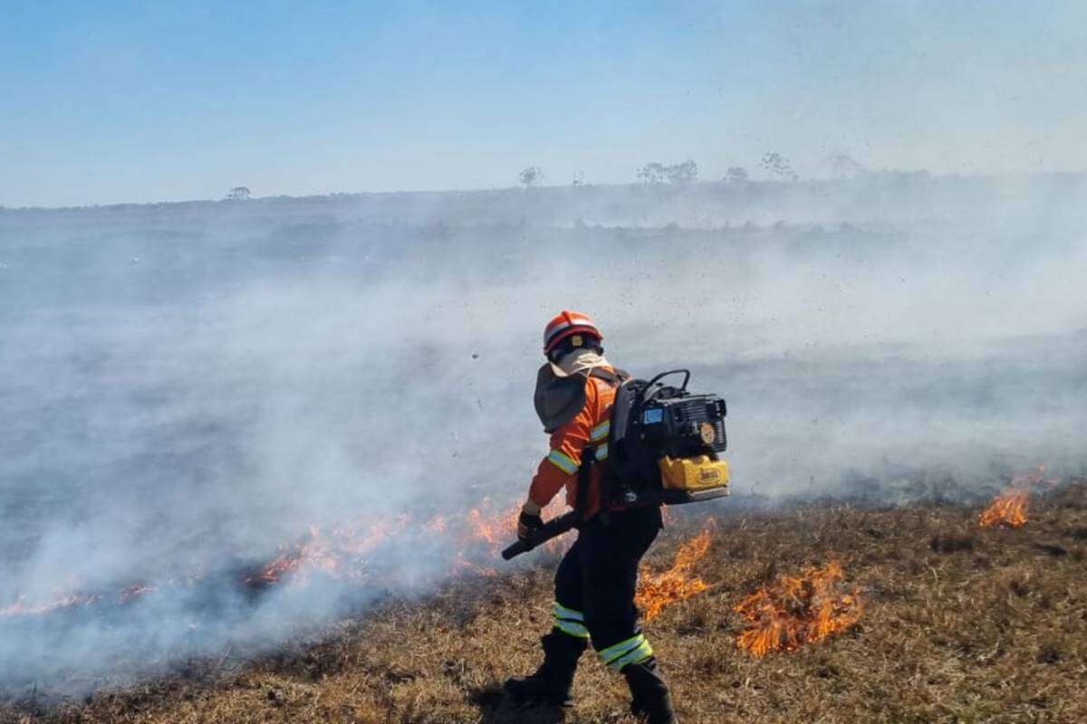 Pantanal: operação Arraial São João da PF combate incêndios criminosos