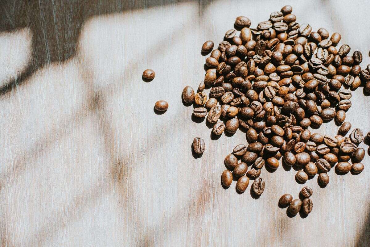 Saiba como seca histórica ajuda a deixar o preço do café mais salgado