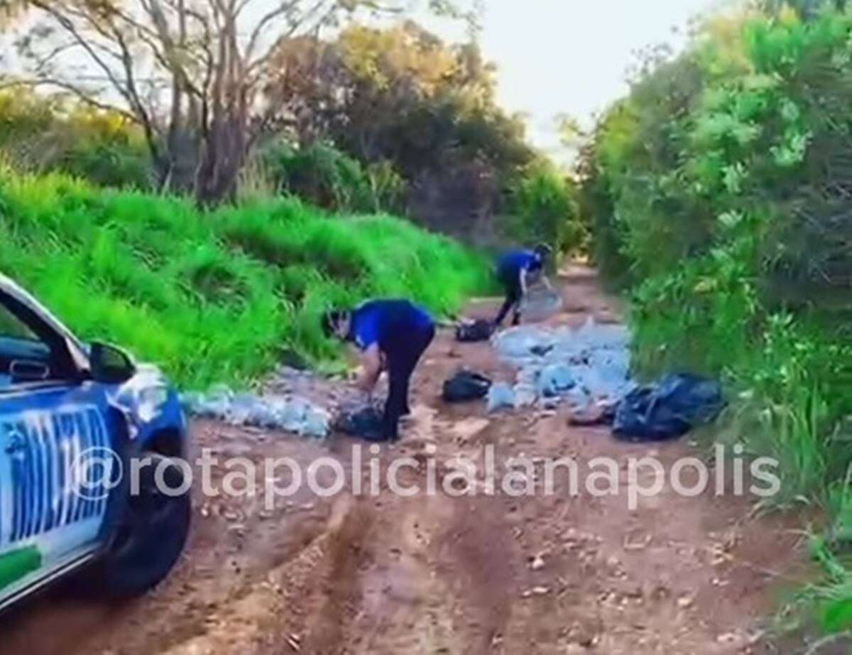 Restos mortais são encontrados em local de descarte irregular em Goiás