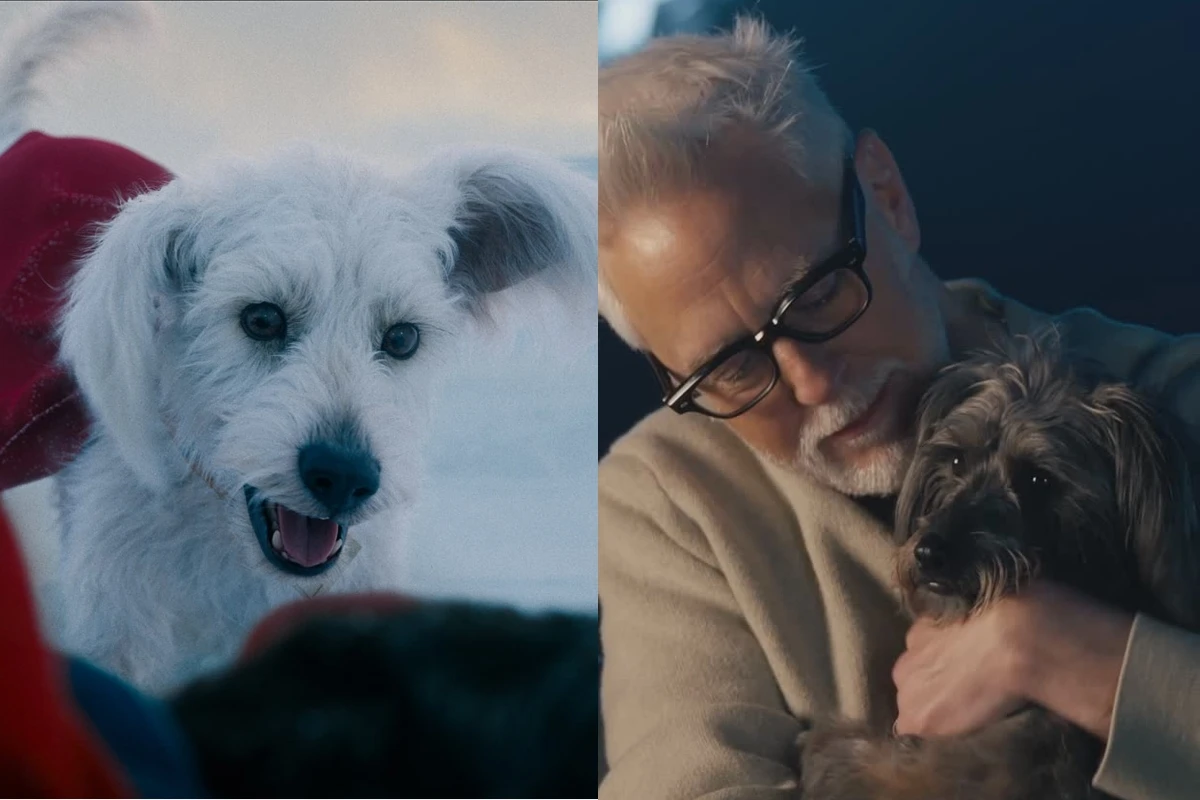 Conheça o cachorro real que inspirou Krypto, companheiro do Superman
