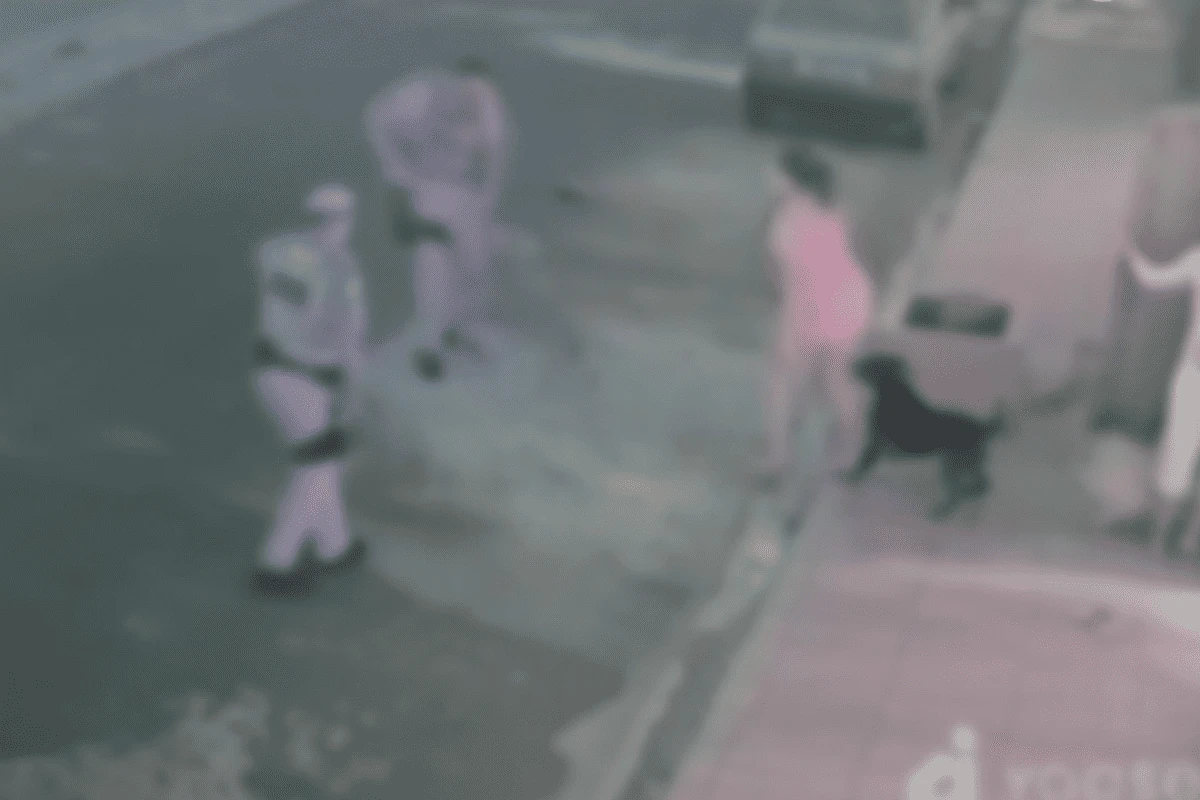 Imagens fortes: PM mata cachorro a tiros em briga no interior de SP