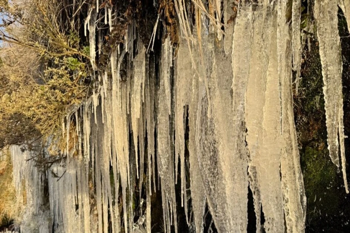Cidade mais fria do Brasil bate recorde de frio em SC em 2025: -8ºC