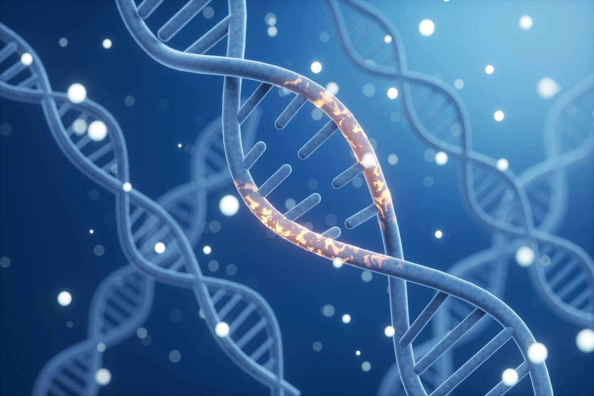 Saiba como o DNA contribui para as nossas características psicológicas